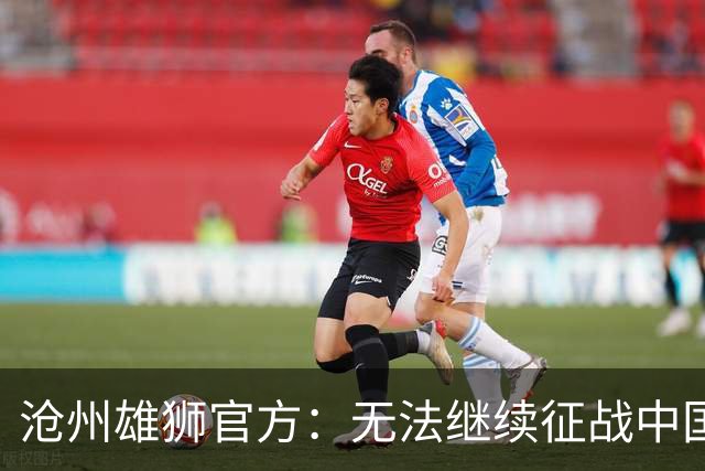 沧州雄狮官方：无法继续征战中国足球职业联赛